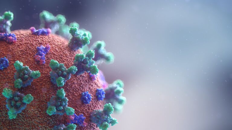 Systematic review of COVID-19 and autoimmune thyroiditis